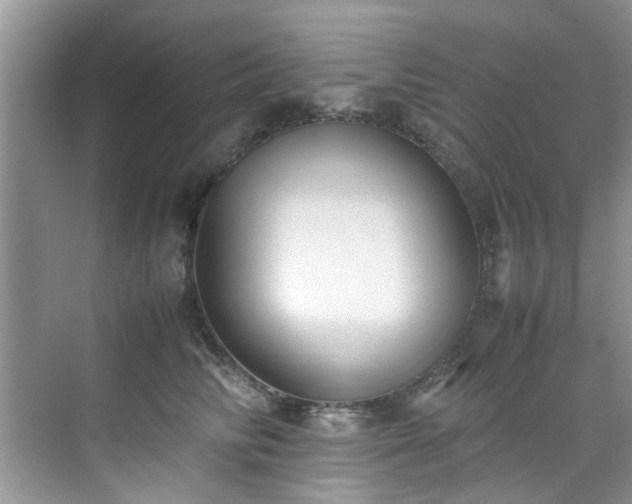 X0000070430710200606161504