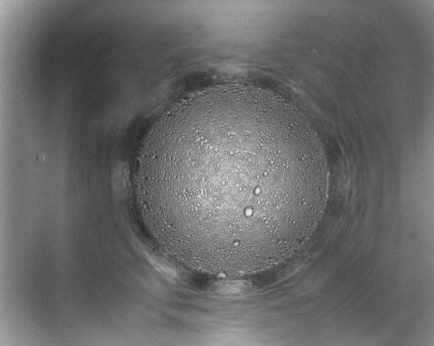 X0000070430711200606161504