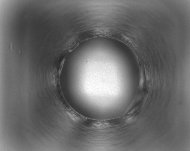 X0000070430712200606161504