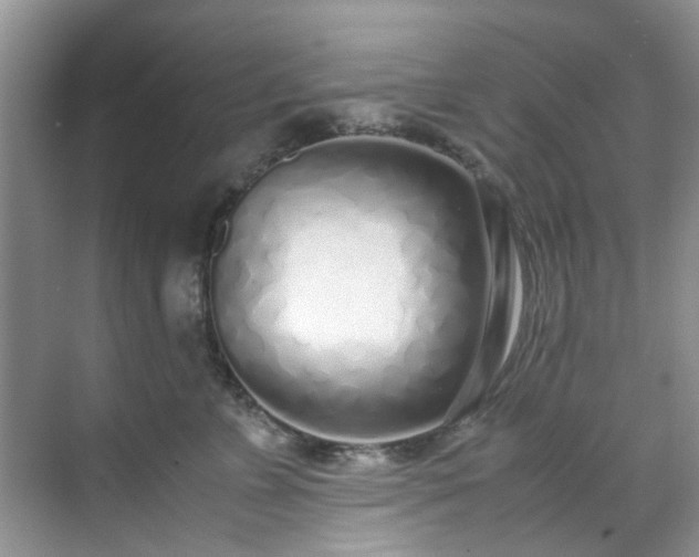 X0000070430715200606161504