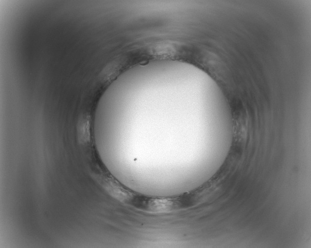 X0000070430717200606161504