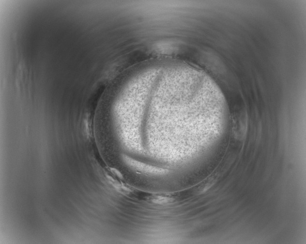 X0000070430718200606161504