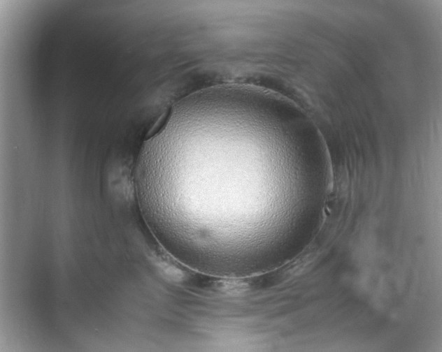 X0000070430719200606161504