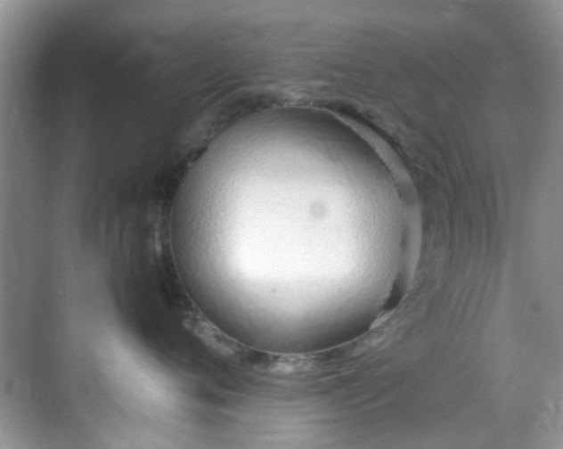 X0000070430720200606161504