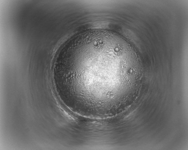 X0000070430721200606161503