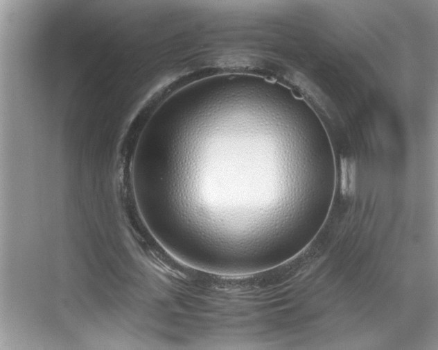 X0000070430723200606161503