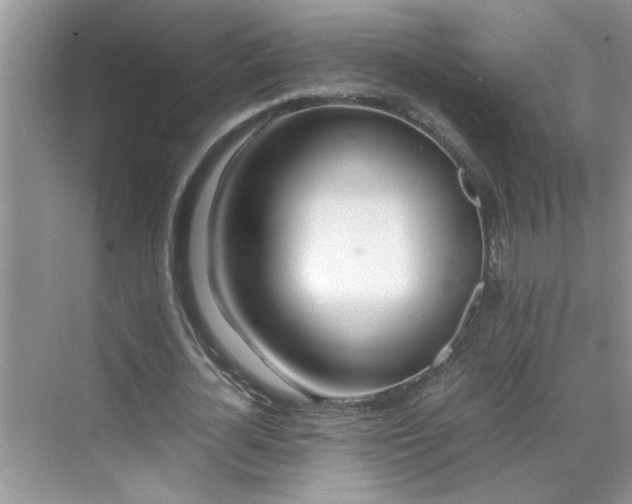 X0000070430724200606161503