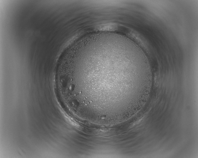 X0000070430725200606161503