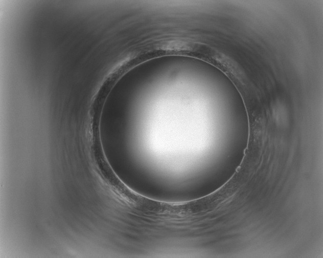 X0000070430727200606161503