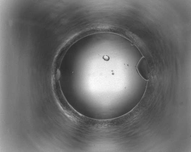 X0000070430728200606161503