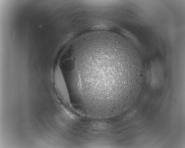 X0000070430729200606161503