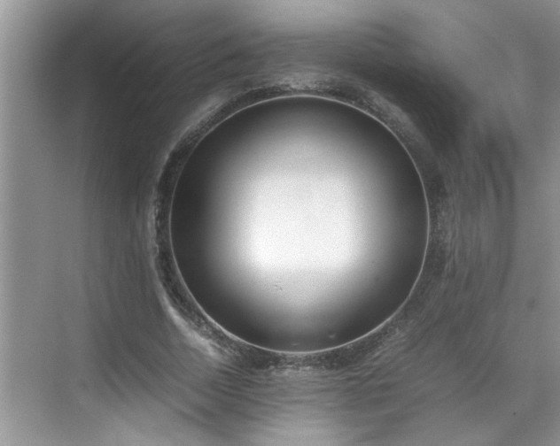 X0000070430730200606161503