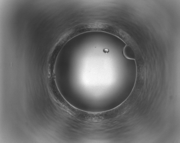 X0000070430731200606161503