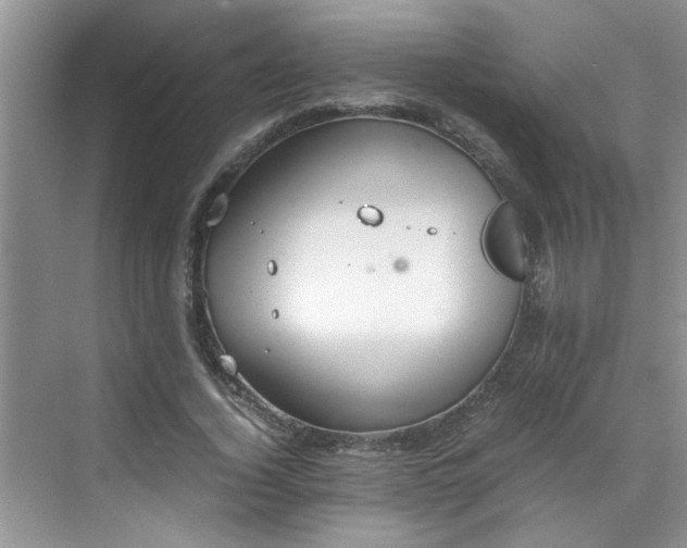 X0000070430732200606161503