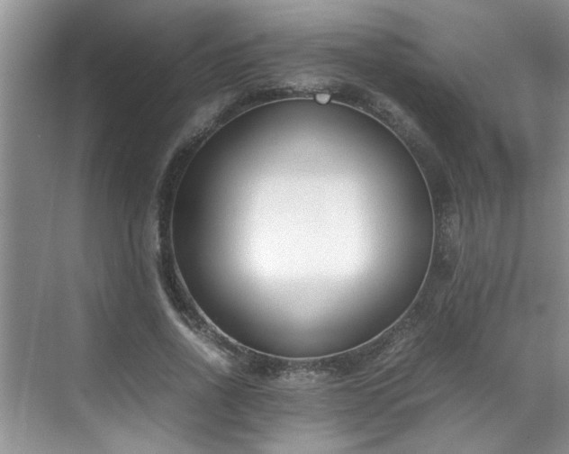 X0000070430734200606161503