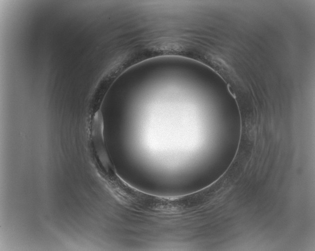 X0000070430735200606161503