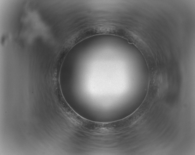 X0000070430737200606161503