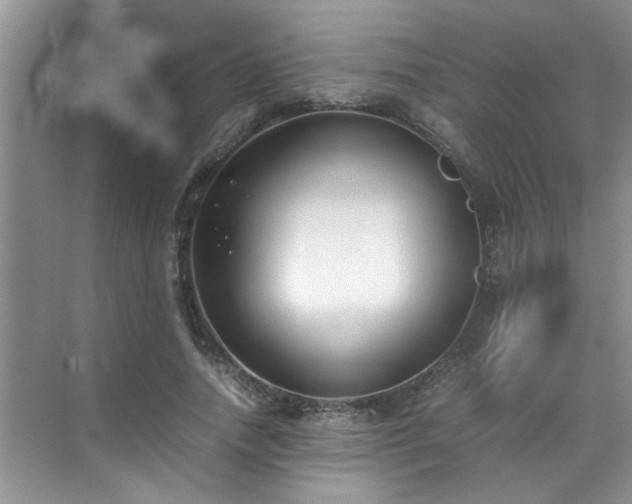 X0000070430738200606161503