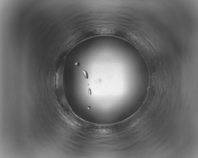 X0000070430741200606161503