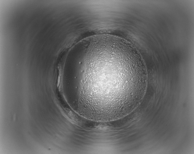 X0000070430742200606161503