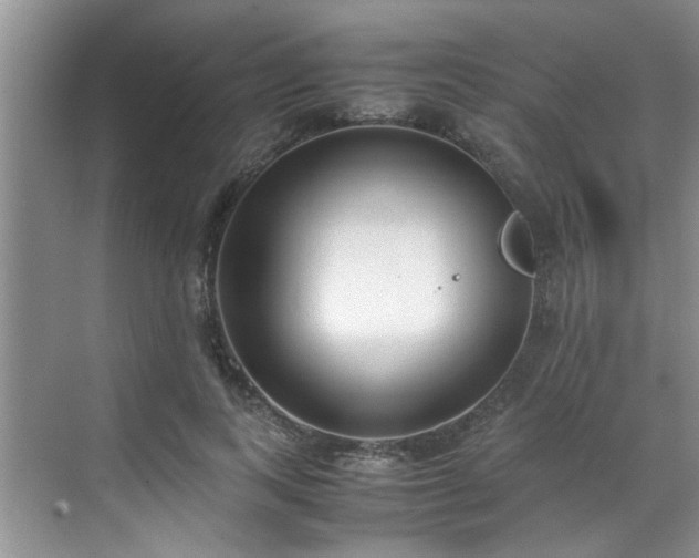 X0000070430743200606161503