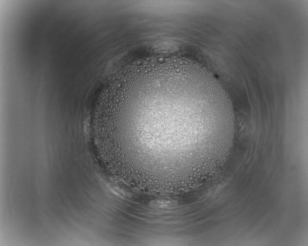 X0000070430745200606161503