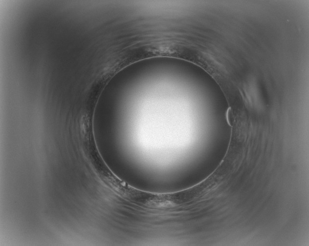 X0000070430747200606161503