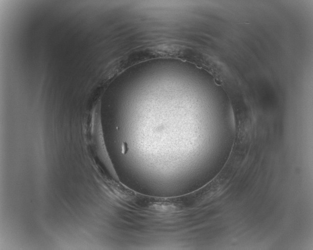 X0000070430749200606161503