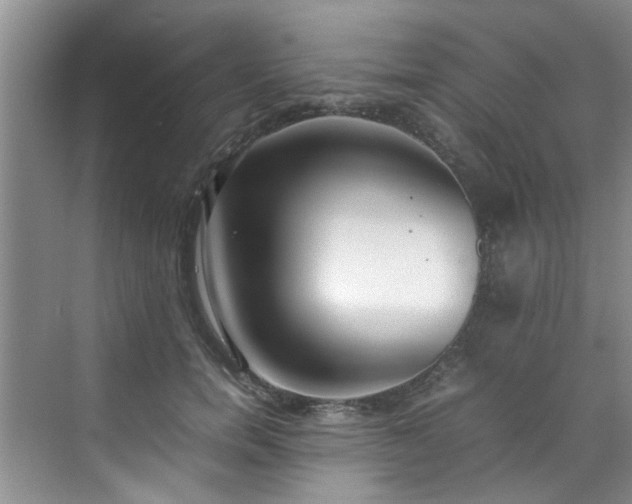 X0000070430750200606161503