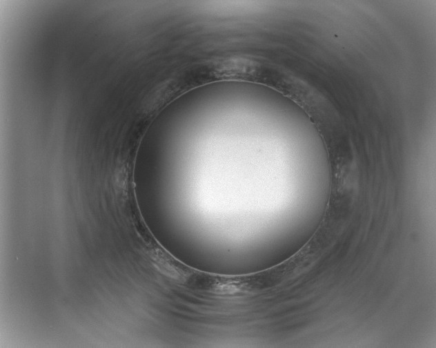 X0000070430753200606161504