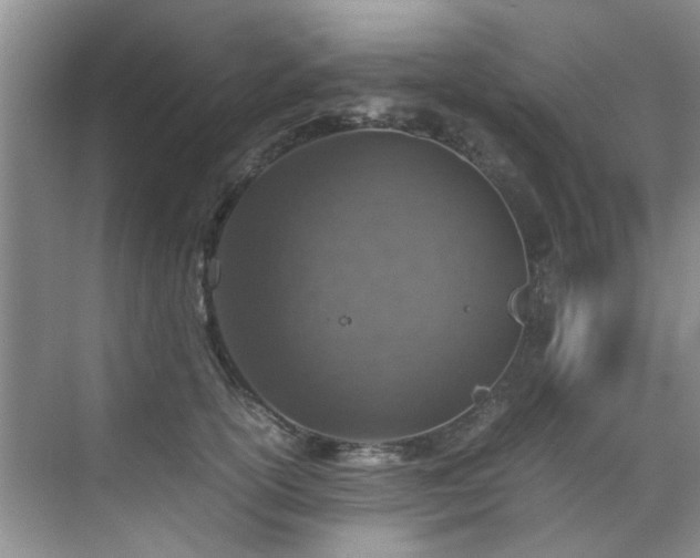 X0000070430754200606161504