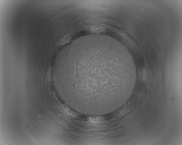 X0000070430757200606161504