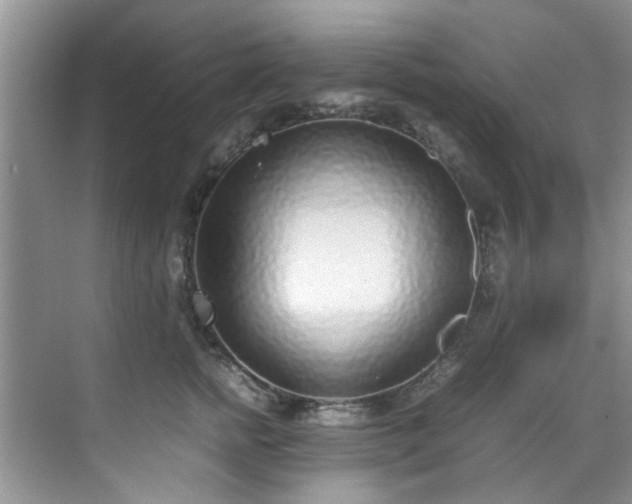 X0000070430758200606161504