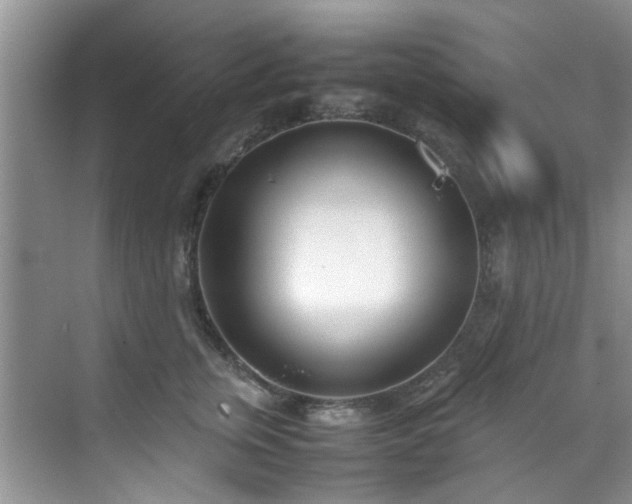 X0000070430759200606161504