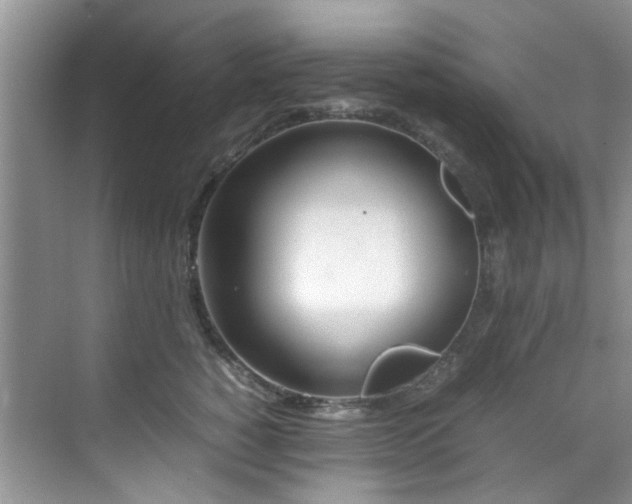 X0000070430760200606161504