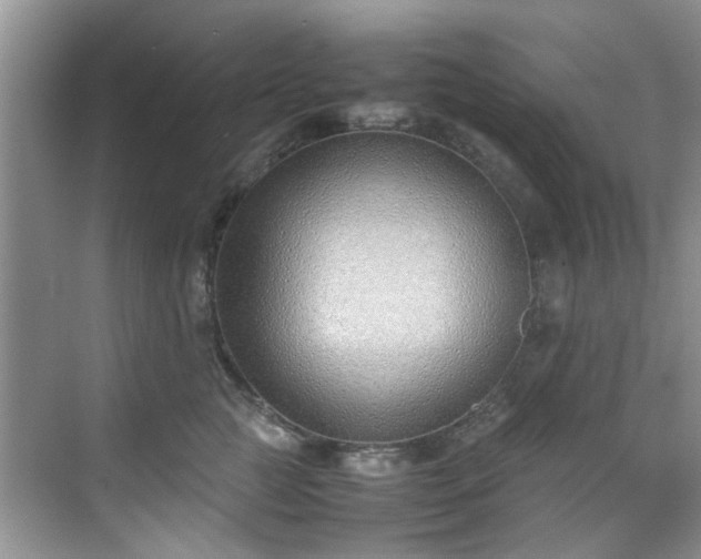 X0000070430761200606161504