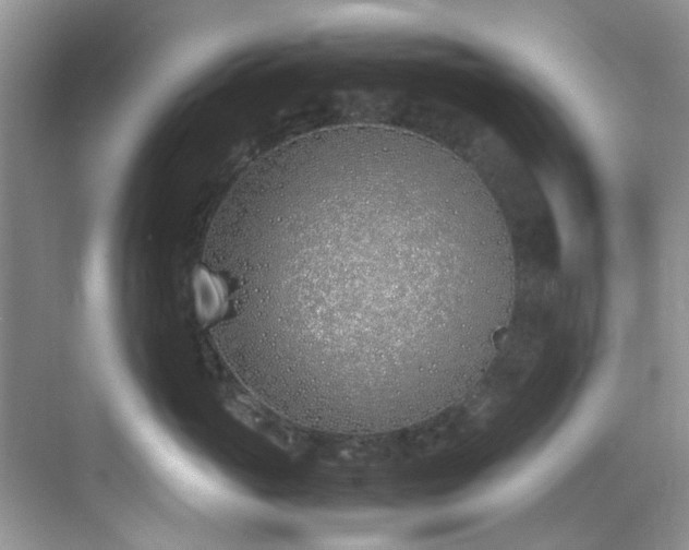 X0000070430765200606161504