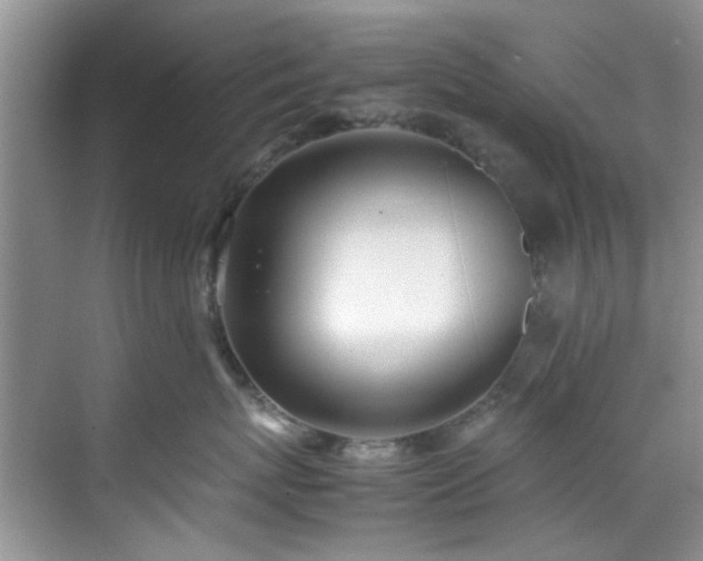 X0000070430767200606161504