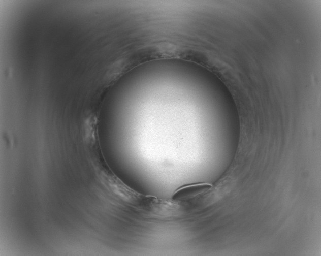 X0000070430768200606161504