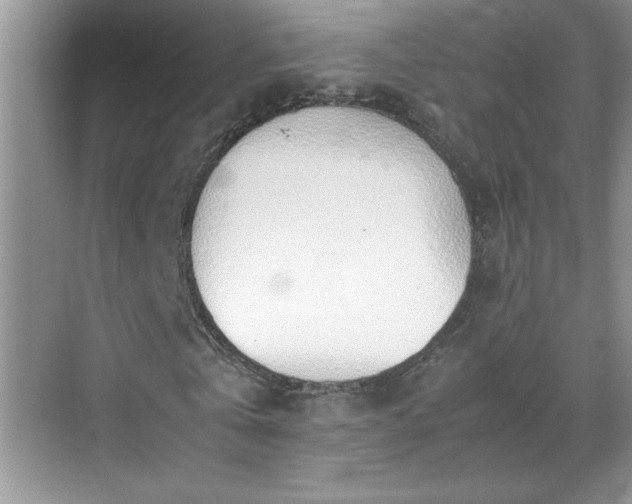 X0000070430769200606161503