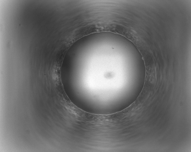 X0000070430770200606161503