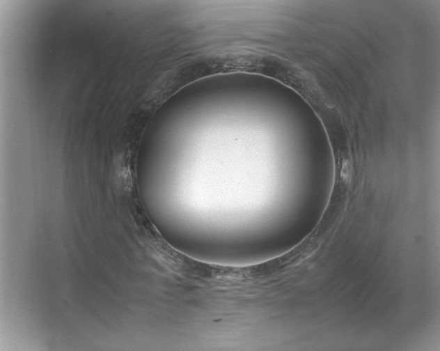 X0000070430771200606161503