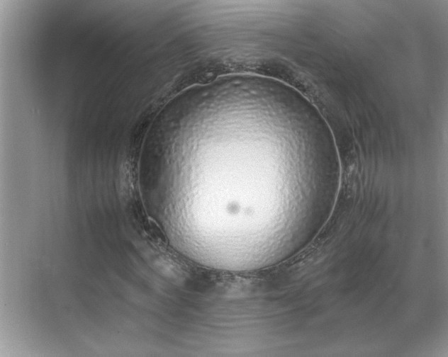 X0000070430772200606161503