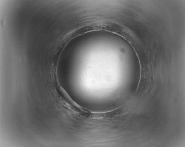 X0000070430773200606161503