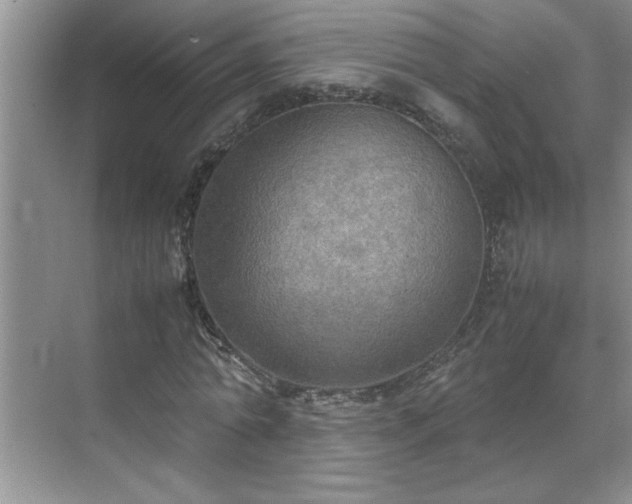 X0000070430774200606161503