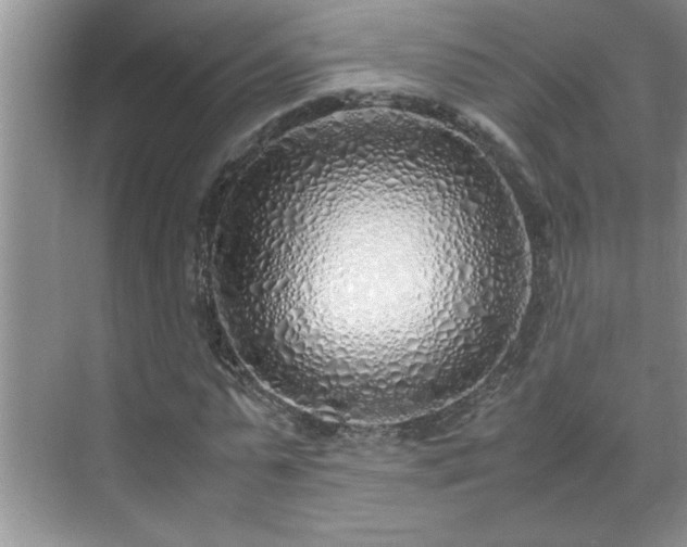 X0000070430775200606161503