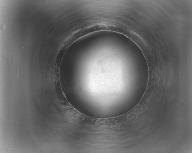 X0000070430776200606161503