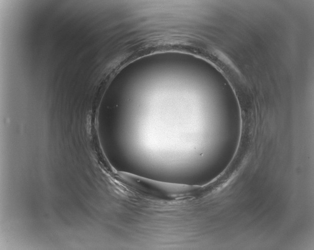 X0000070430777200606161503