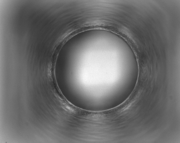 X0000070430778200606161503