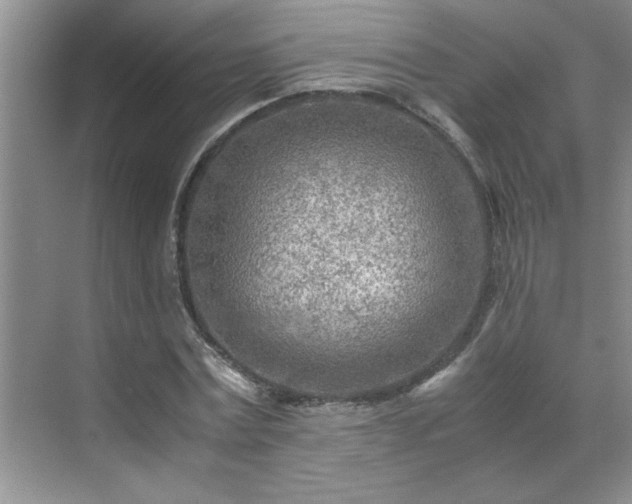 X0000070430779200606161503